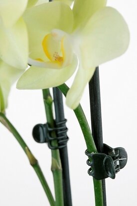 Orchidee Haarclip Extra Small